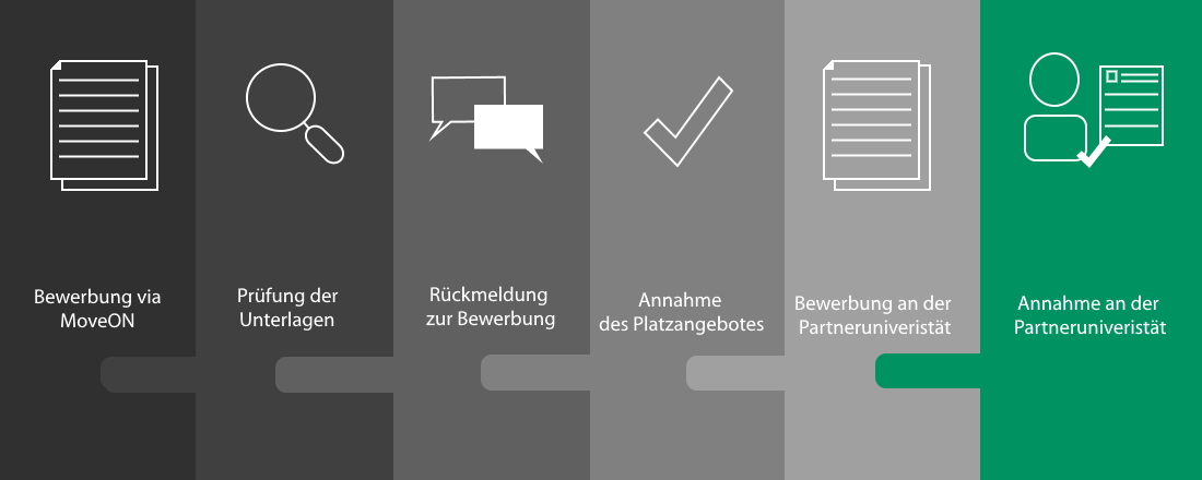 04 Grafik_Bewerbungsprozess Auslandssemester allgemein