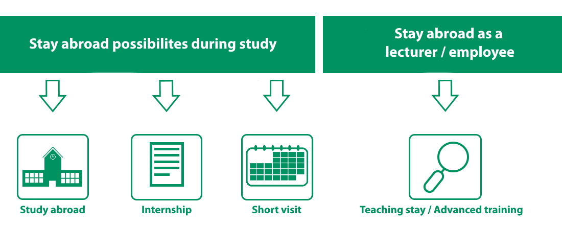 Grafik_Going Abroad_EN